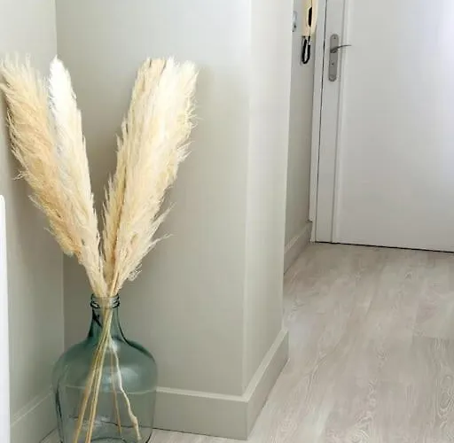 Les Halles - Hypercentre